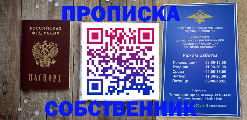 прописка 2025 в Кольчугино